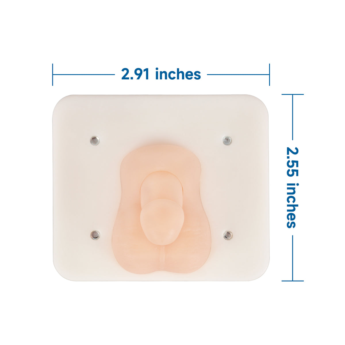 Infant Circumcision Trainer with Replaceable Foreskin
