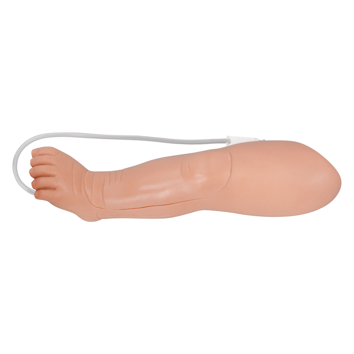 Infant IO Leg Trainer Kit