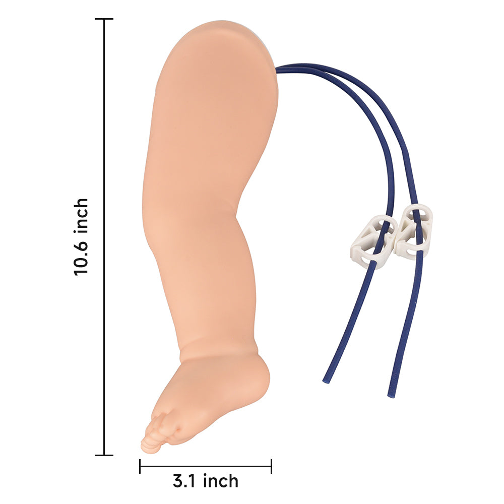 Infant Leg IV Catheter Insertion Model