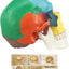 Interactive 3D Colored Skull Replica Set Contents