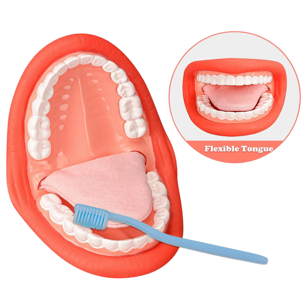 Interactive Mouth Model For Pediatric Speech Therapy Sessions