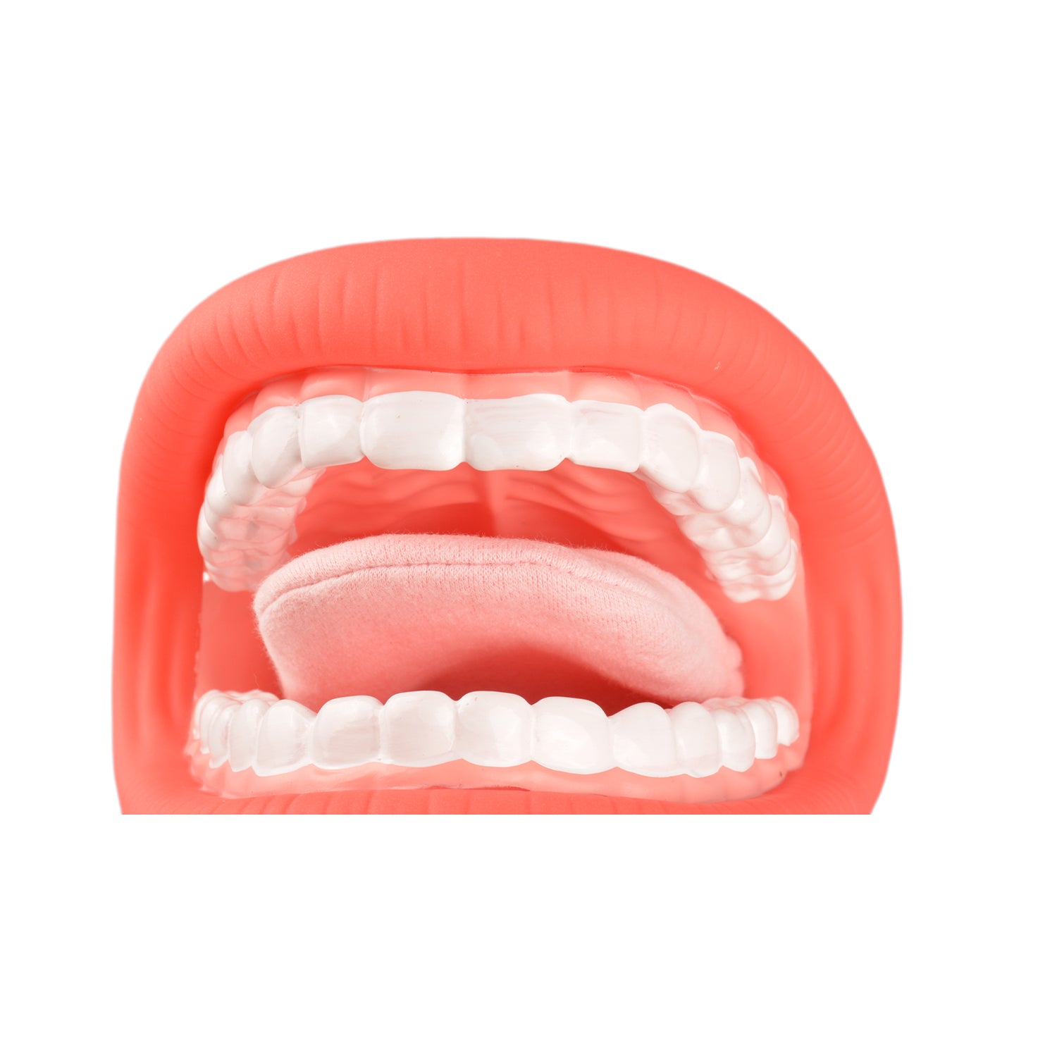 Interactive Mouth Model for Home or Therapy Center