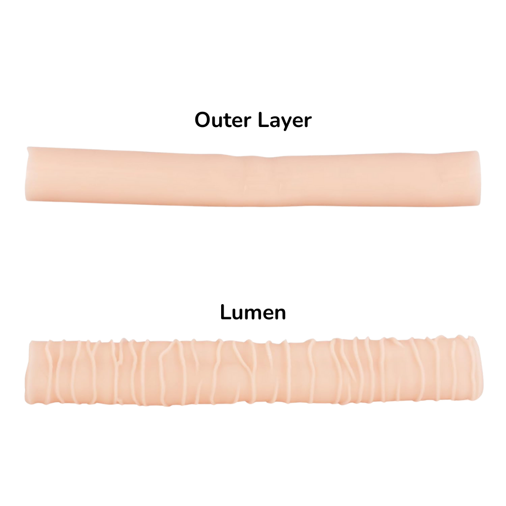 Internal and External Details of the Silicone Bowel