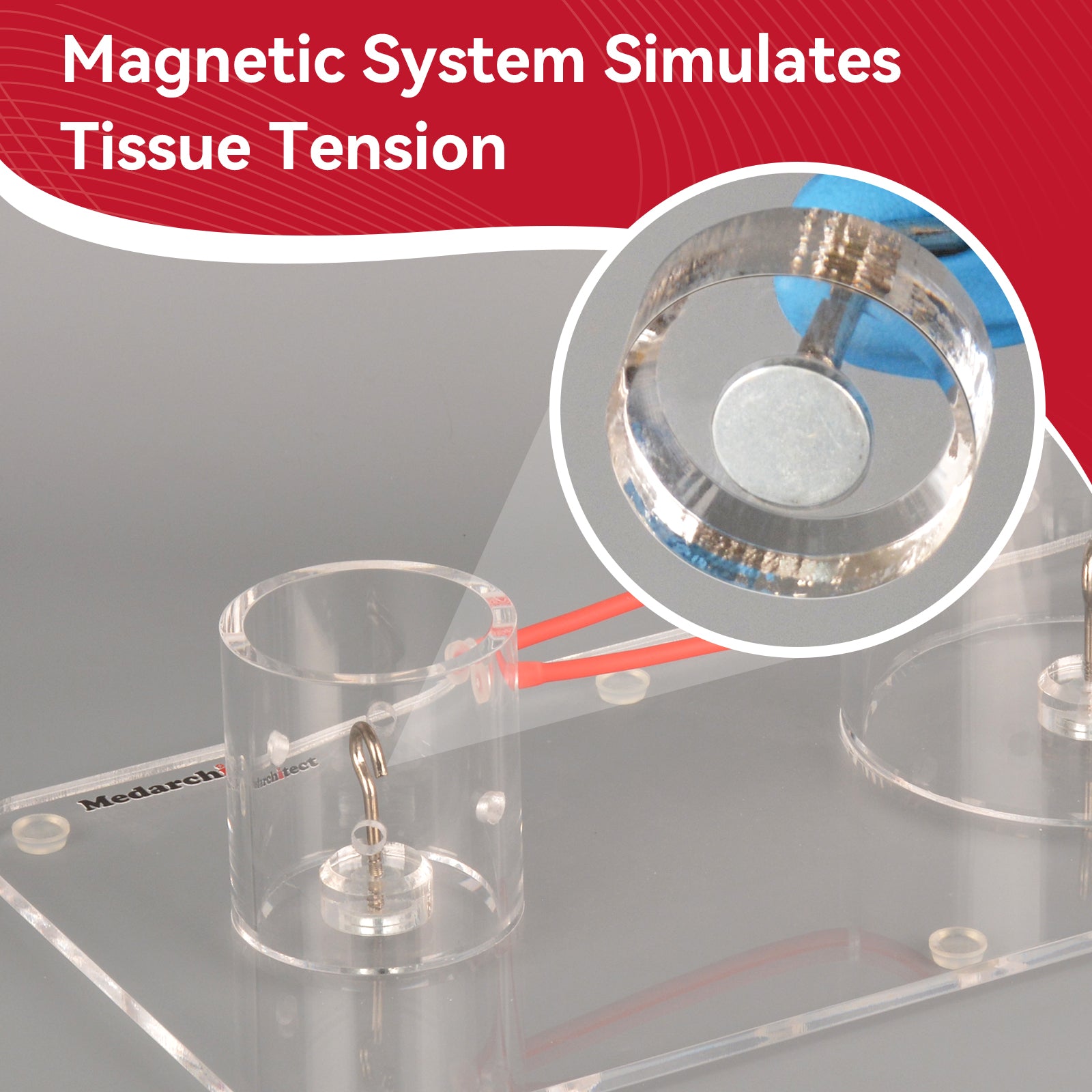 Knot Tying Board with Magnetic System Simulates Tissue Tension 