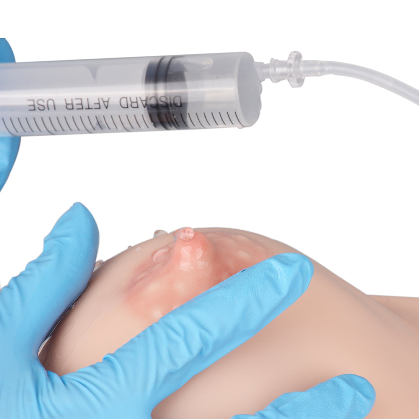 Lactating Breast Model Simulating Milk Flow