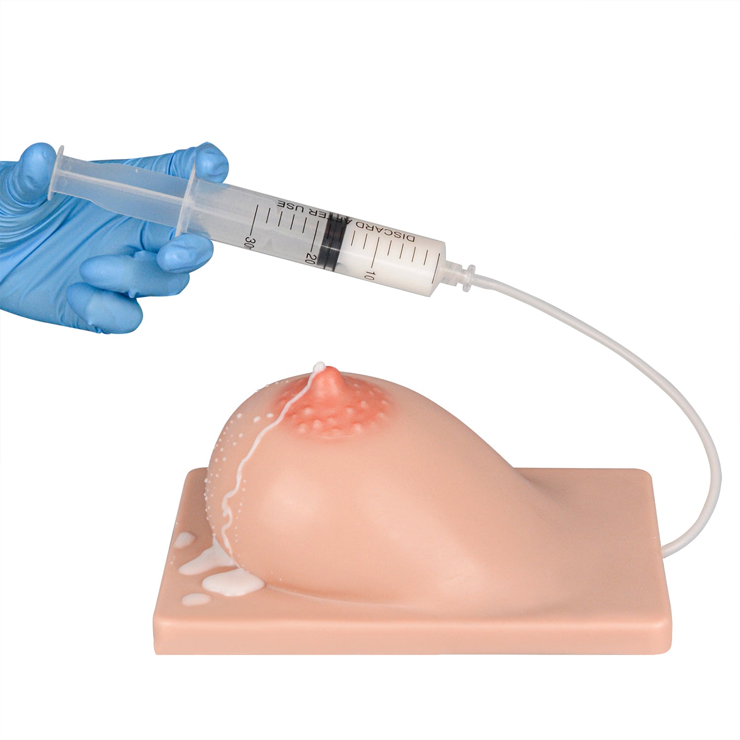 Lactation Breast Model