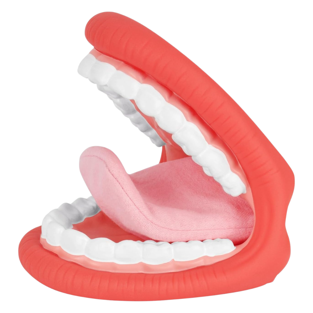 Large Mouth Model for Speech Therapy Hand Puppet