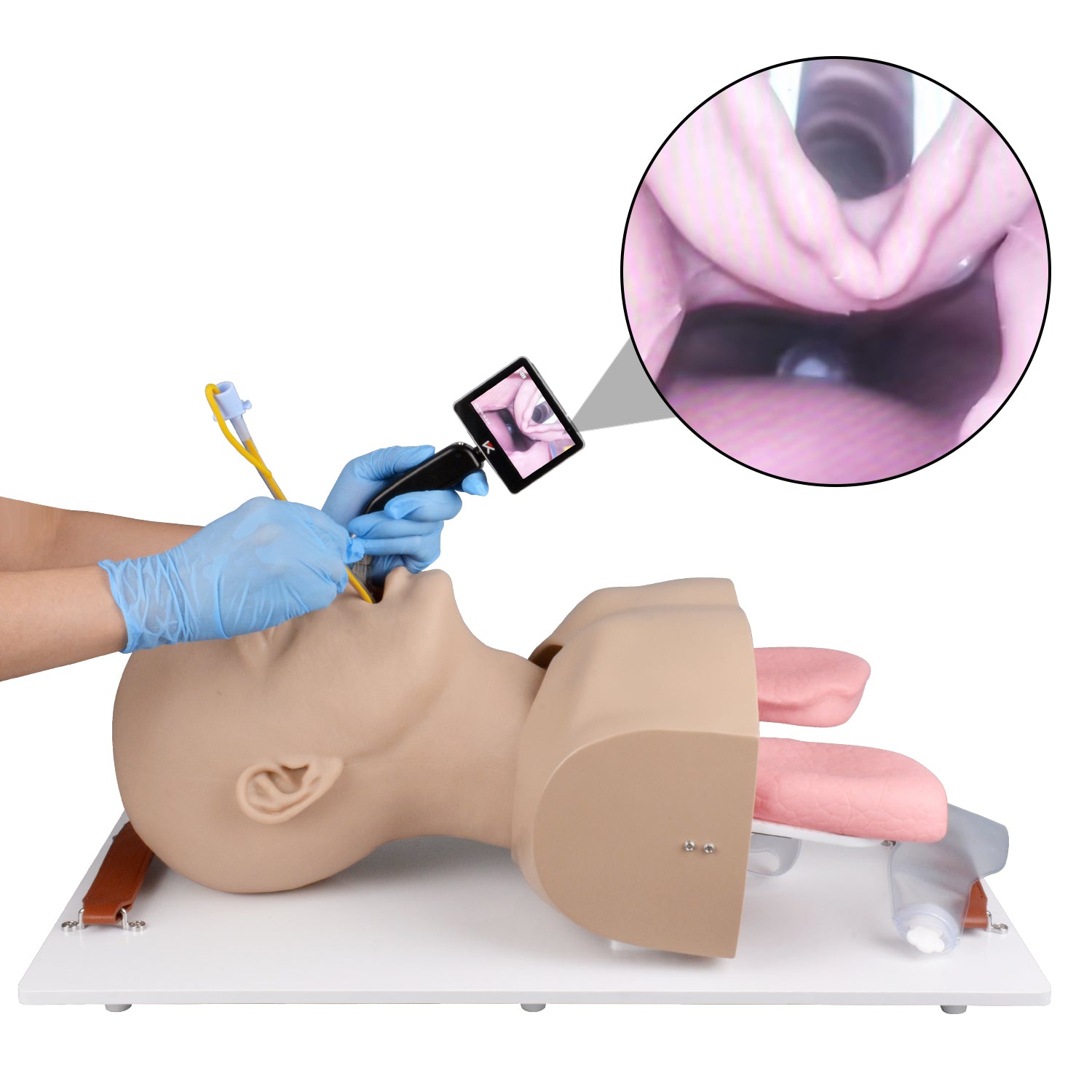 Laryngoscopy Practice On Airway Management Training Manikin