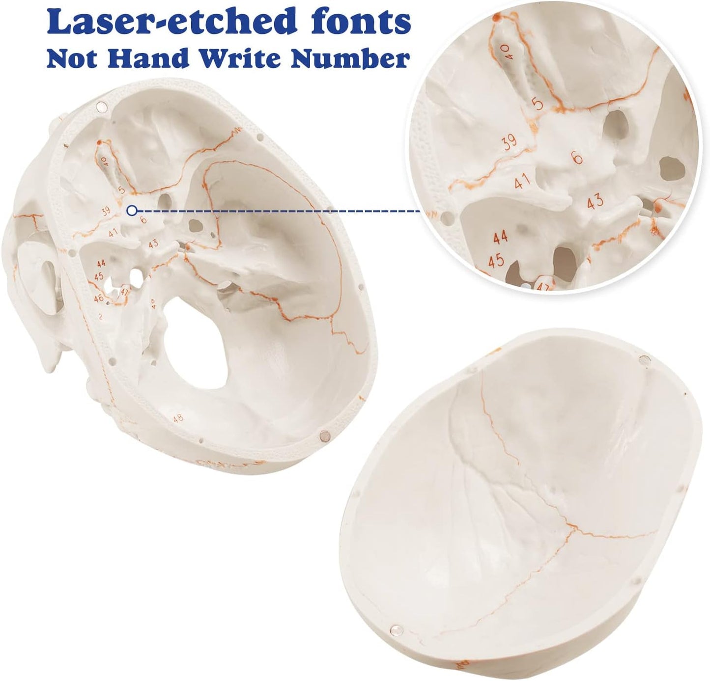 Laser Etched Skull Labels Never Fade Or Smudge