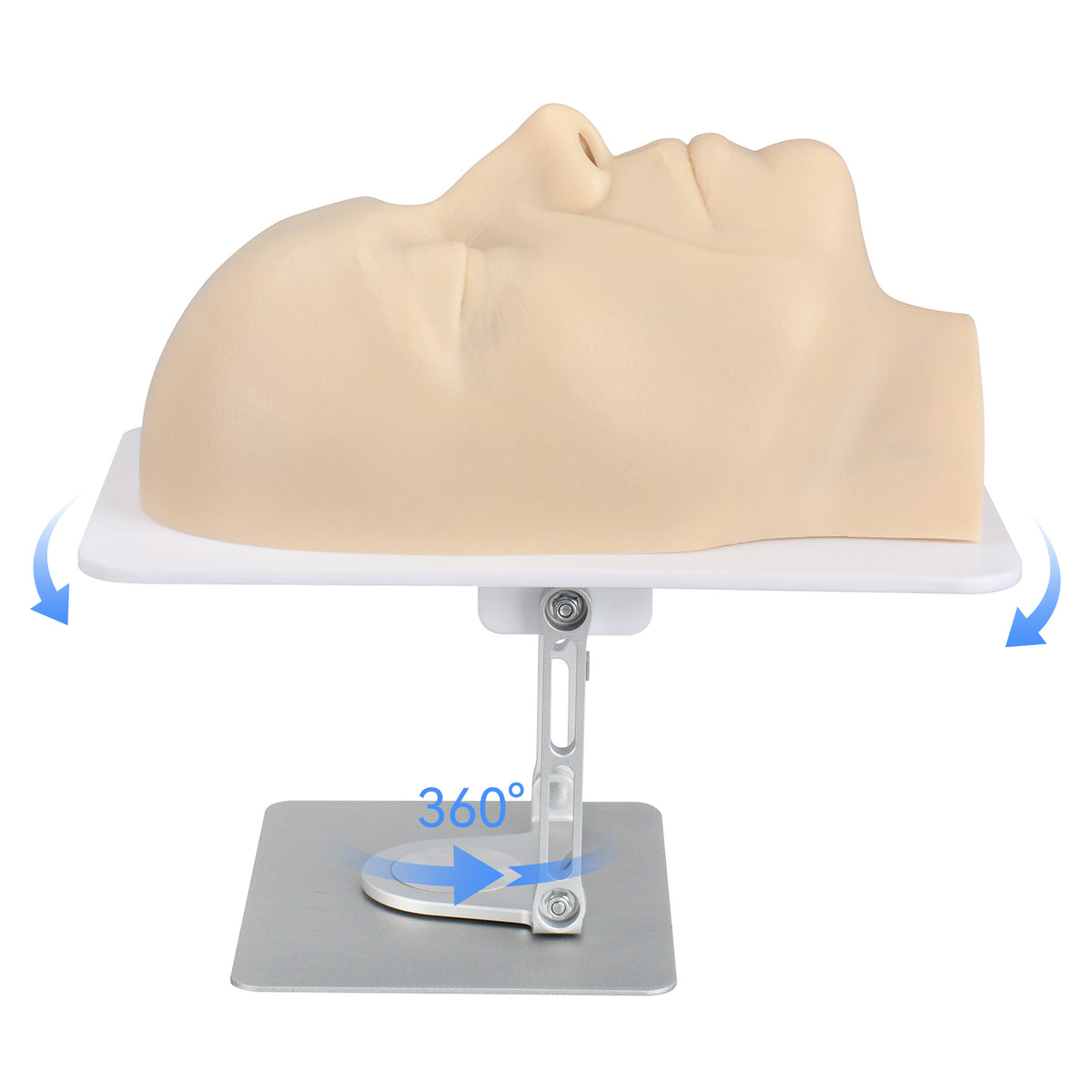 Layered Facial Injection Training Model with Vascular Anatomy