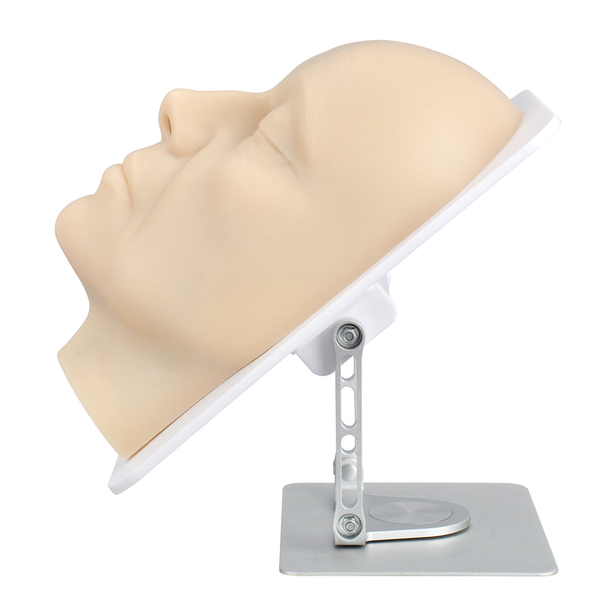 Layered Facial Injection Training Model with Vascular Anatomy