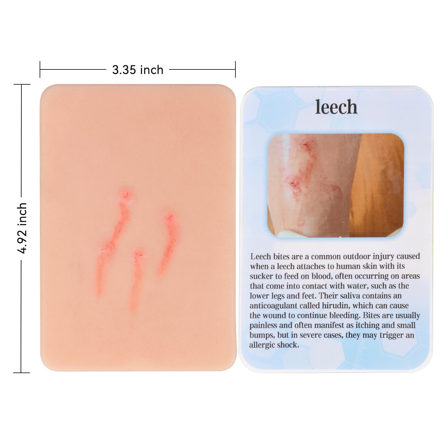Leech Bite Wound Simulation Model