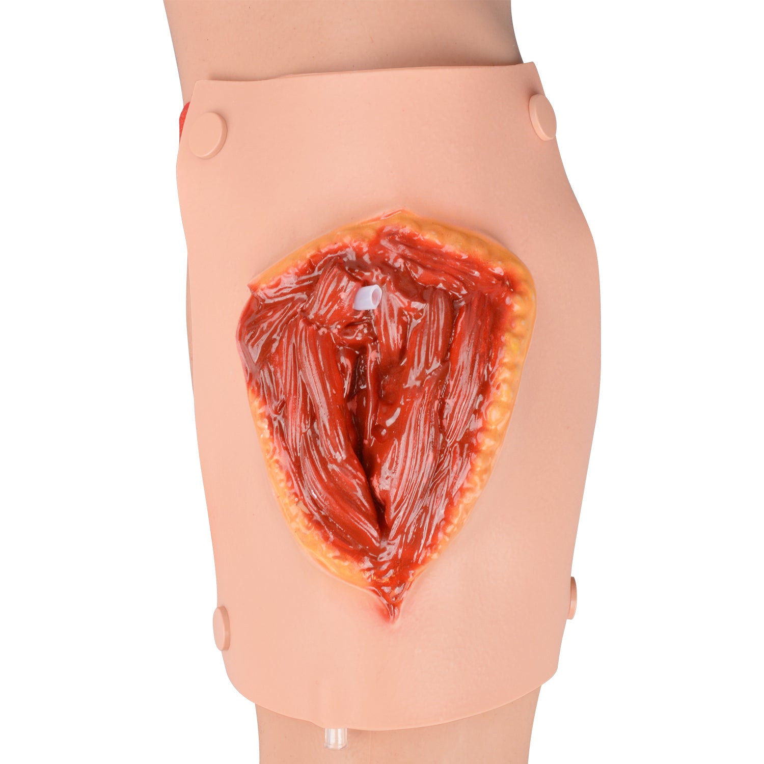 Leg Laceration Wound Model Realistic Injury Simulation