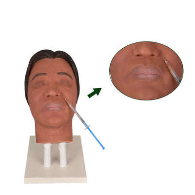 Lifelike Cosmetic Injector Training Head