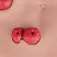 Loop Stoma Model