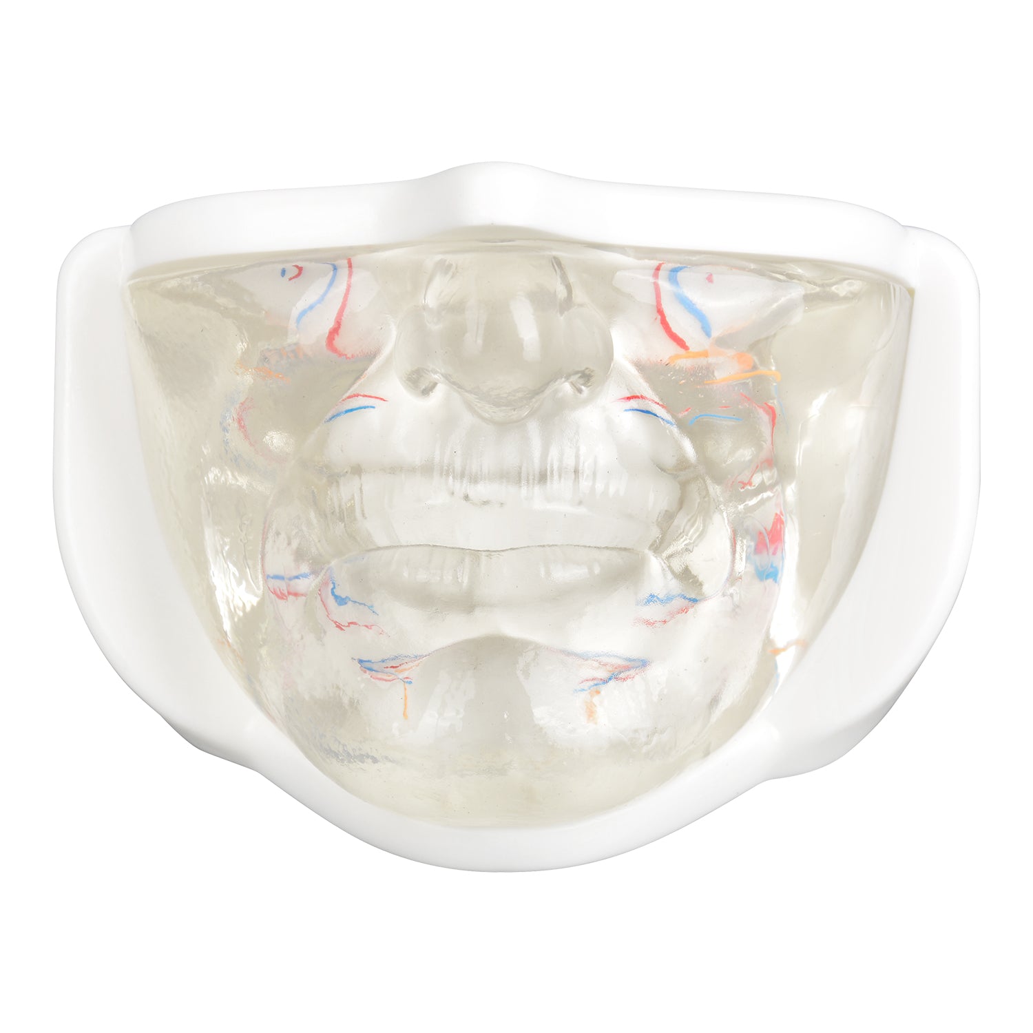 Lower Face Injection Training Model with Transparent Injectable Feature