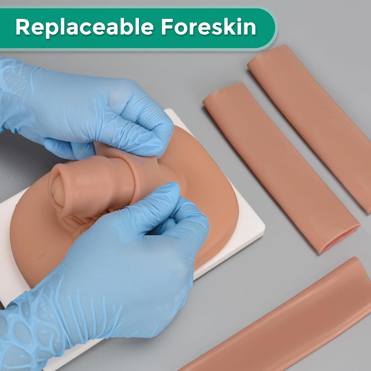 Male Circumcision Trainer with Replaceable Foreskin