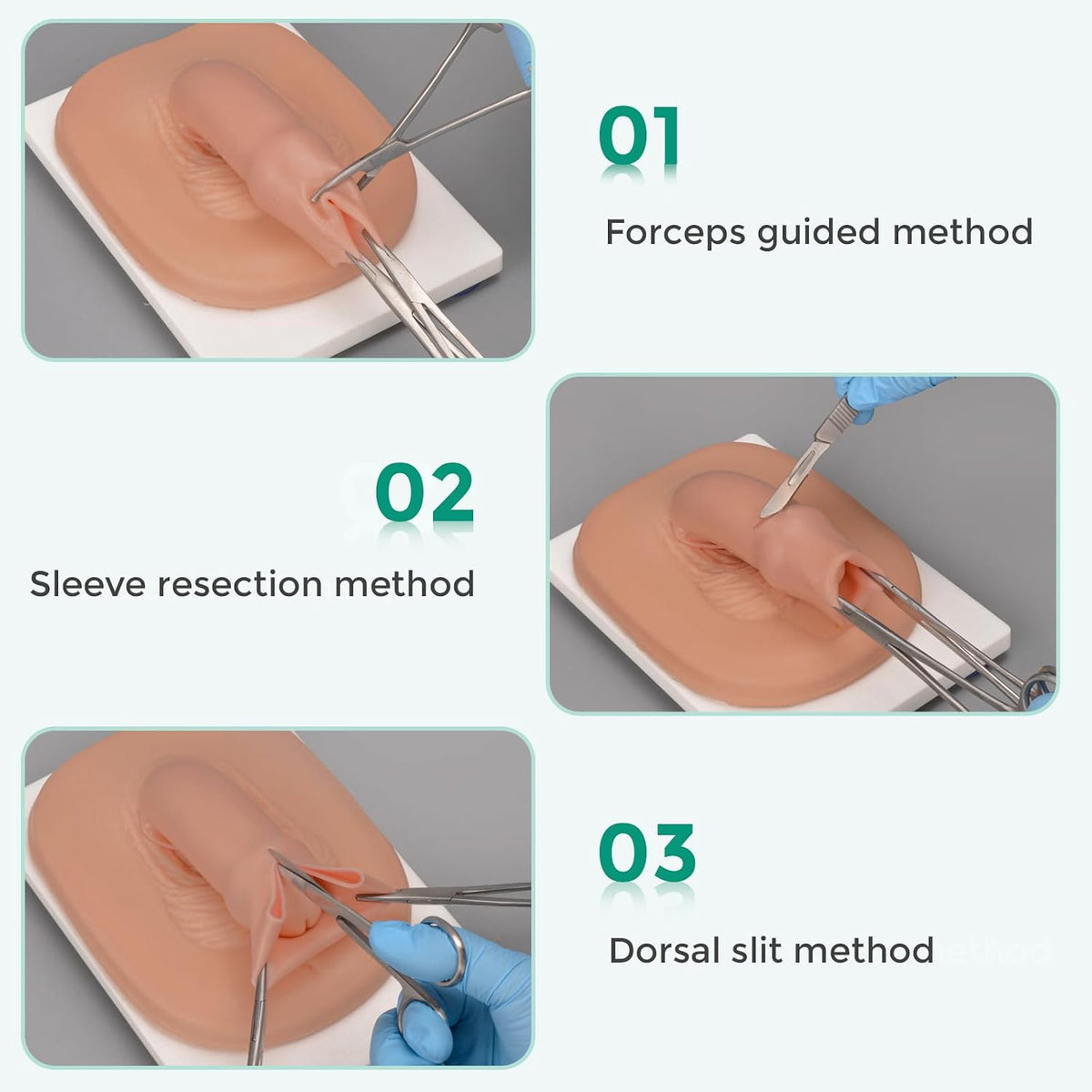 Male Circumcision Trainer with Replaceable Foreskin