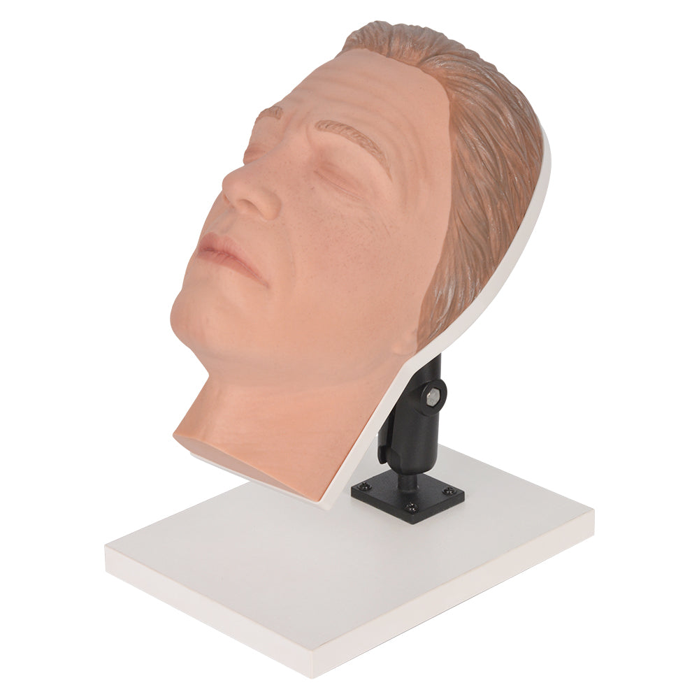 Male Facial Injection Mannequin Head Model Stand B