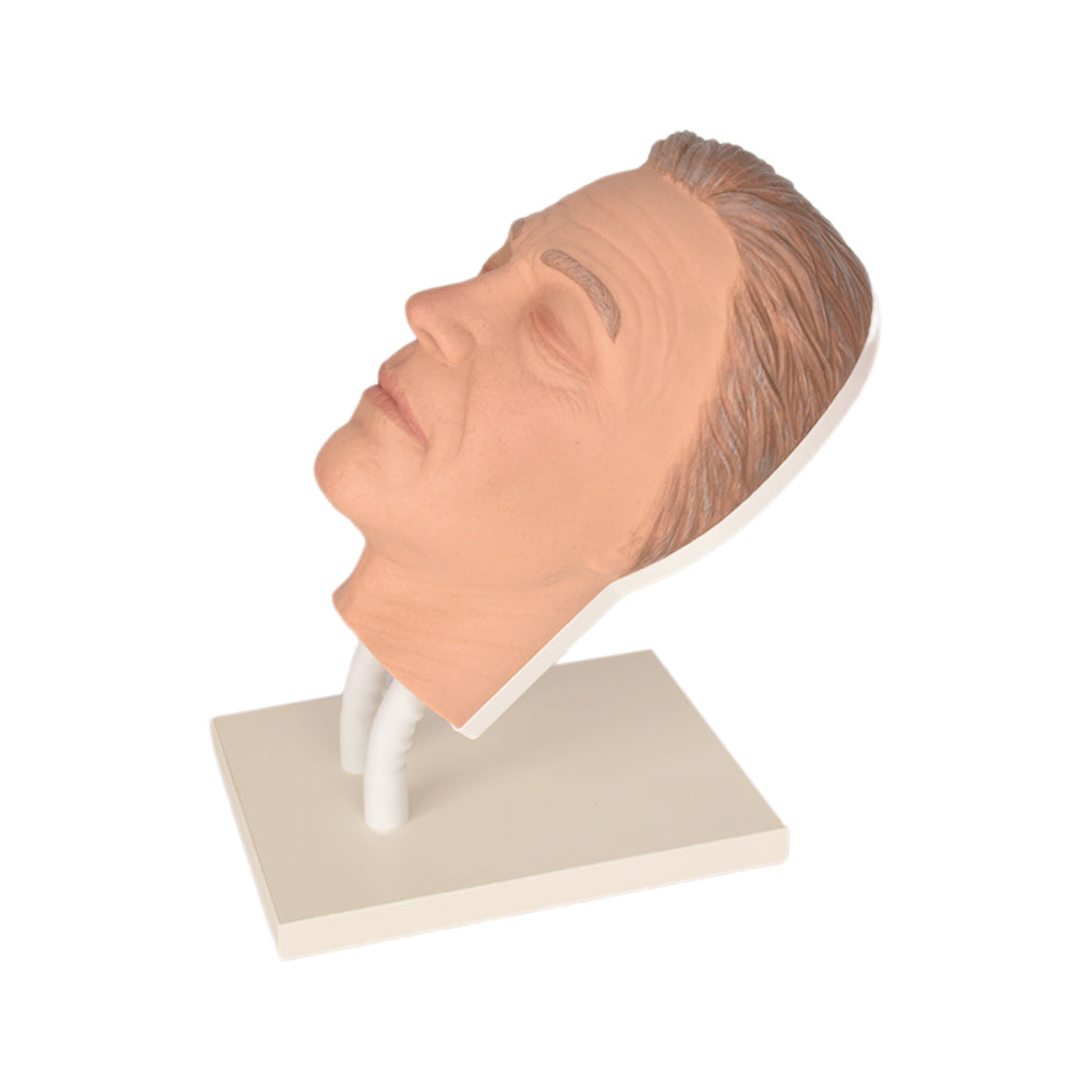 Male Facial Injection Training Mannequin Side Angle