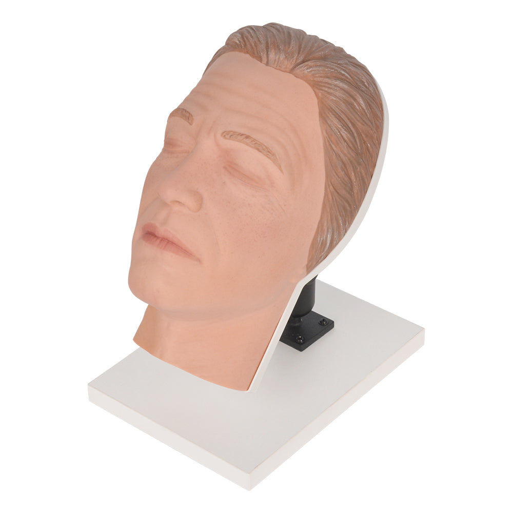 Male Injection Mannequin Head Model For Botox Practice