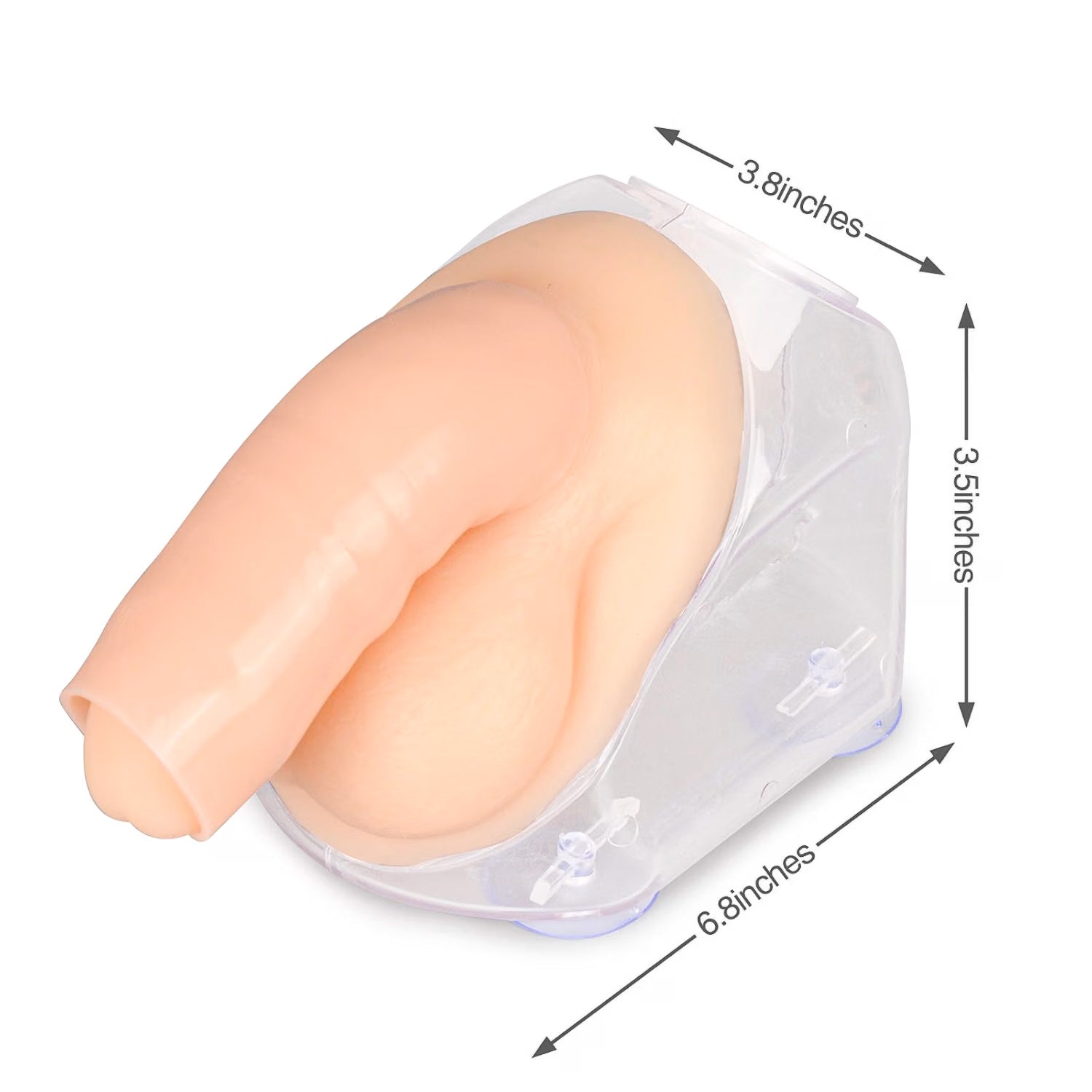 Male Urinary Catheterization Training Model Kit