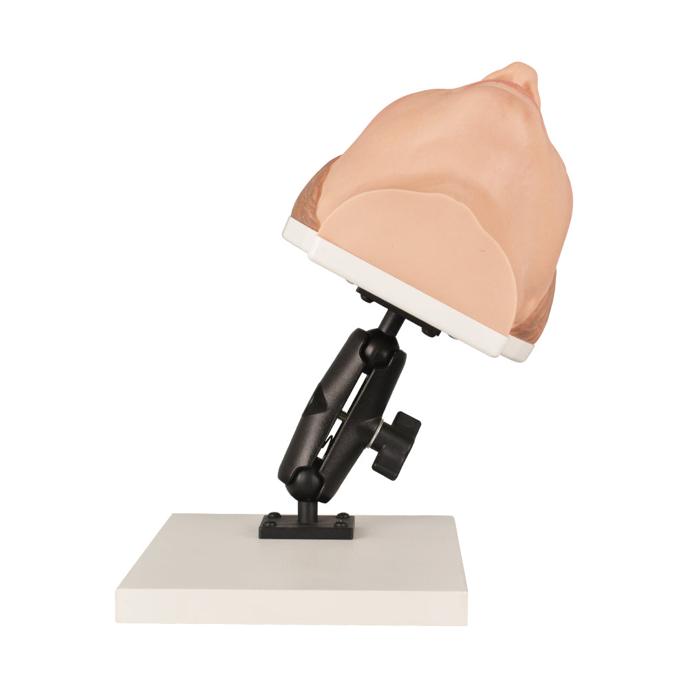 Medical Injection Training Mannequin Head