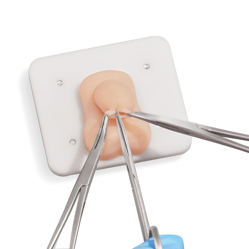 Medical Training Model for Infant Circumcision Procedures