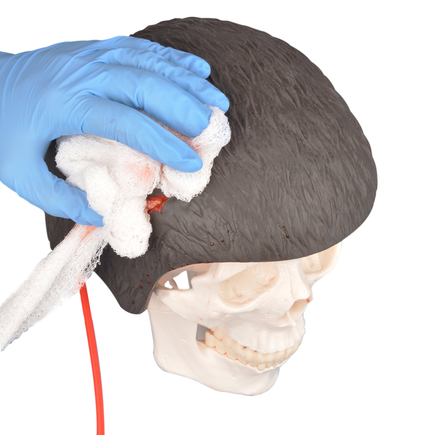 Medical Trauma Training Open Scalp Wound