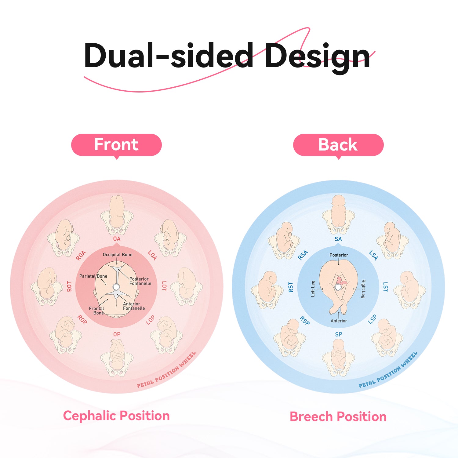 Midwife Fetal Position Tool