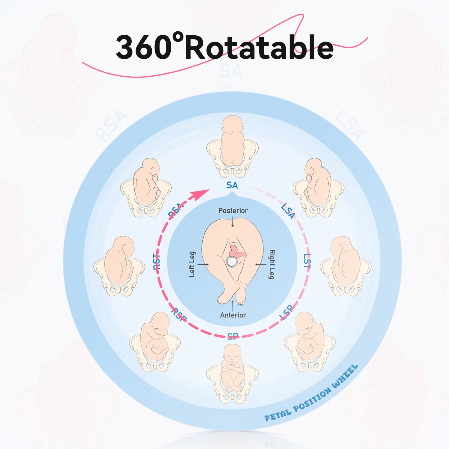 Midwife Fetal Position Tool