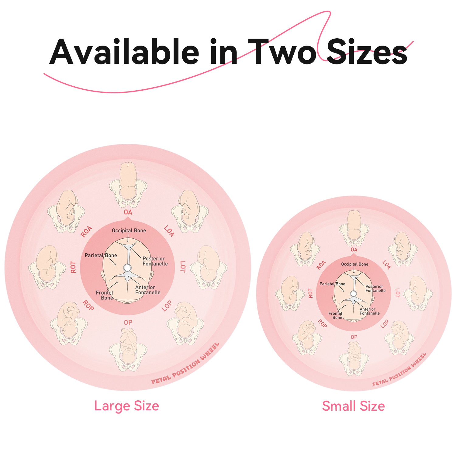 Midwife Fetal Position Tool