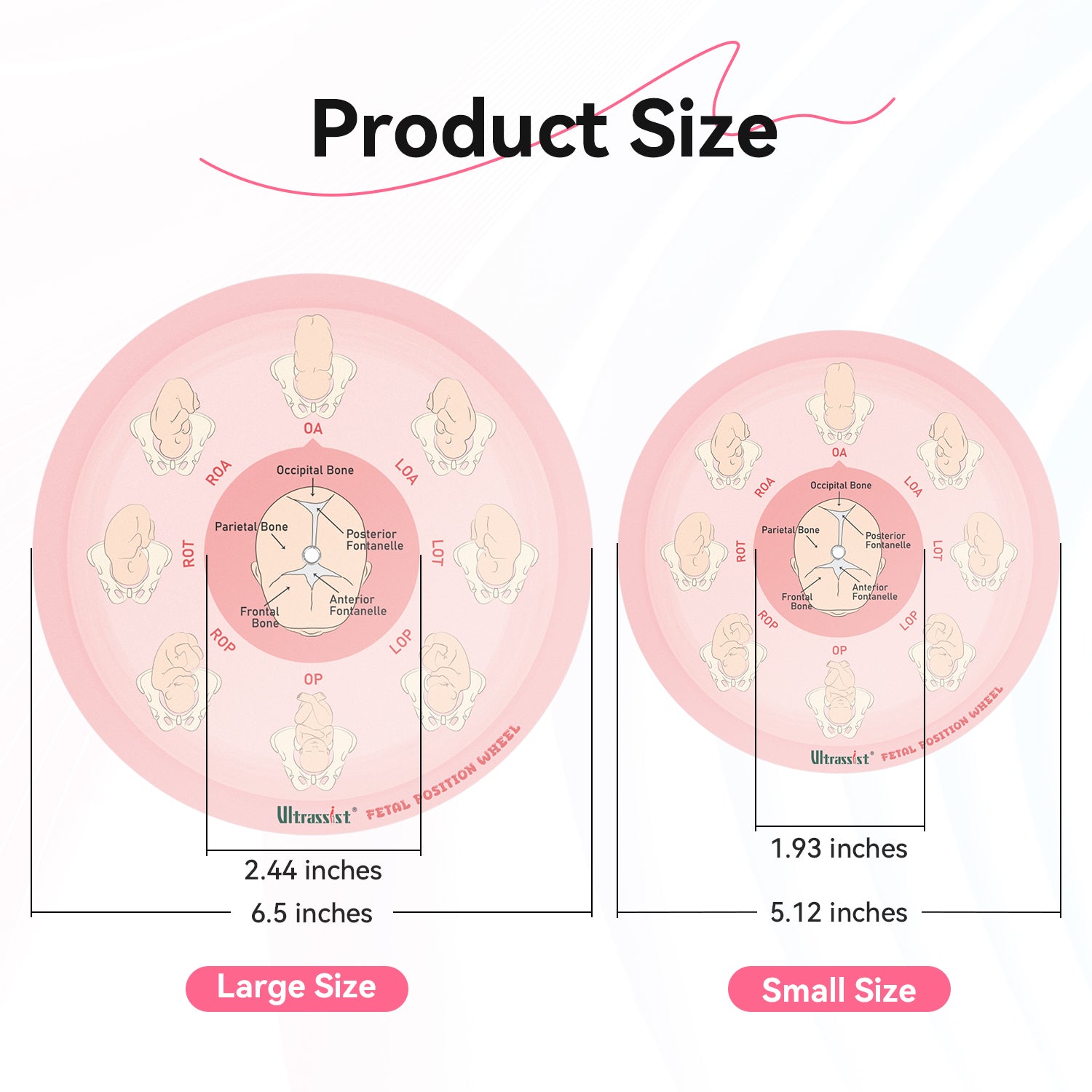 Midwife Fetal Position Tool
