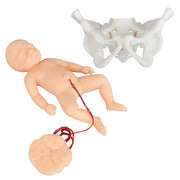 Mini Childbirth Demonstration Model with Pelvis & Baby