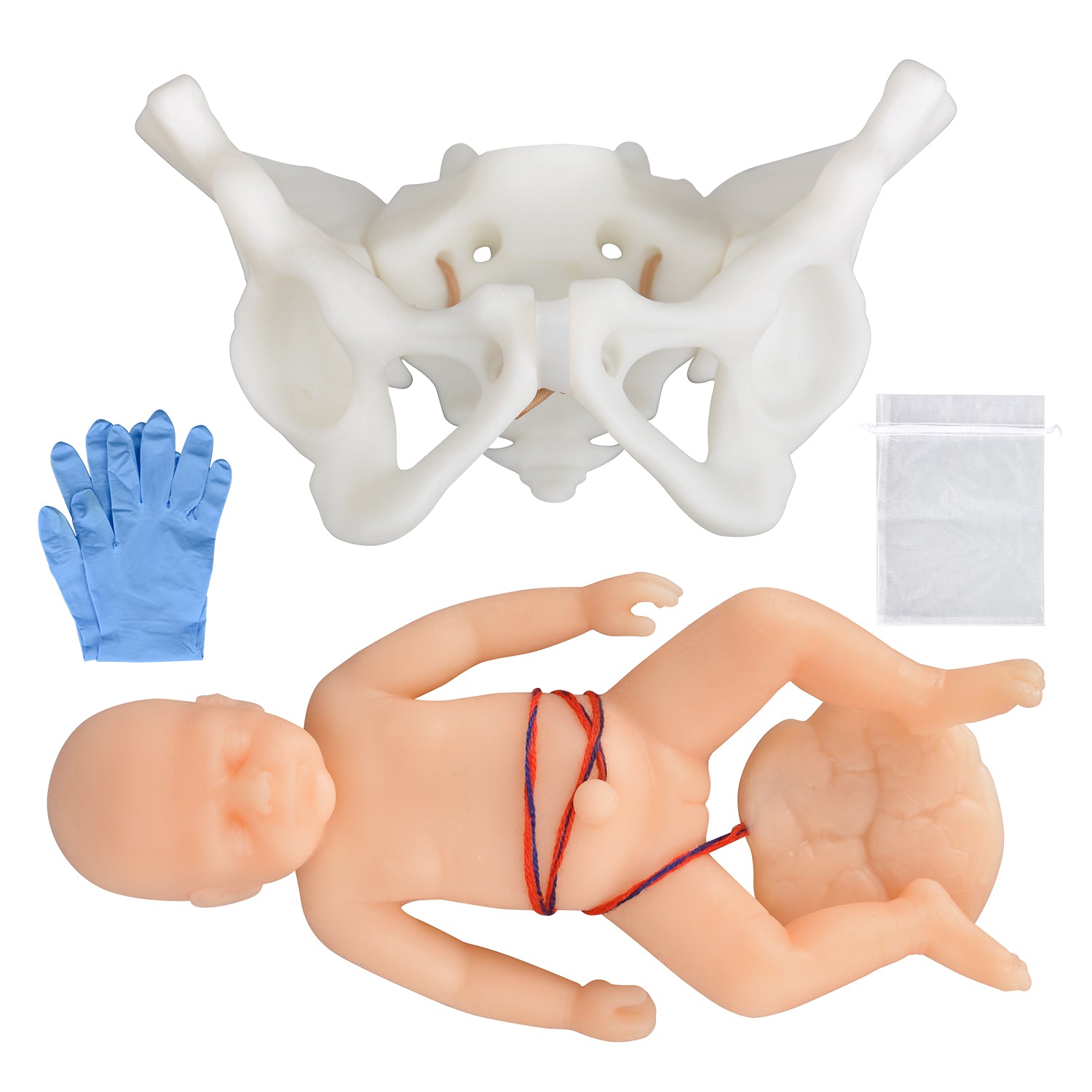 Mini Childbirth Demonstration Model with Pelvis & Baby