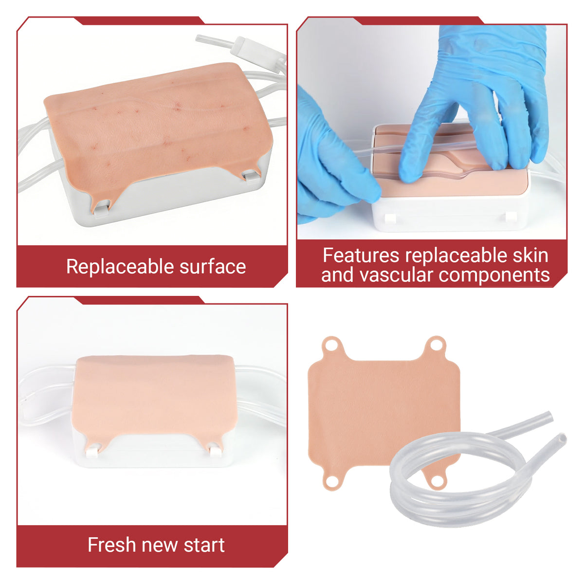 Iv Module Medarchitect Venipuncture & Phlebotomy Training Kit with Replaceable M