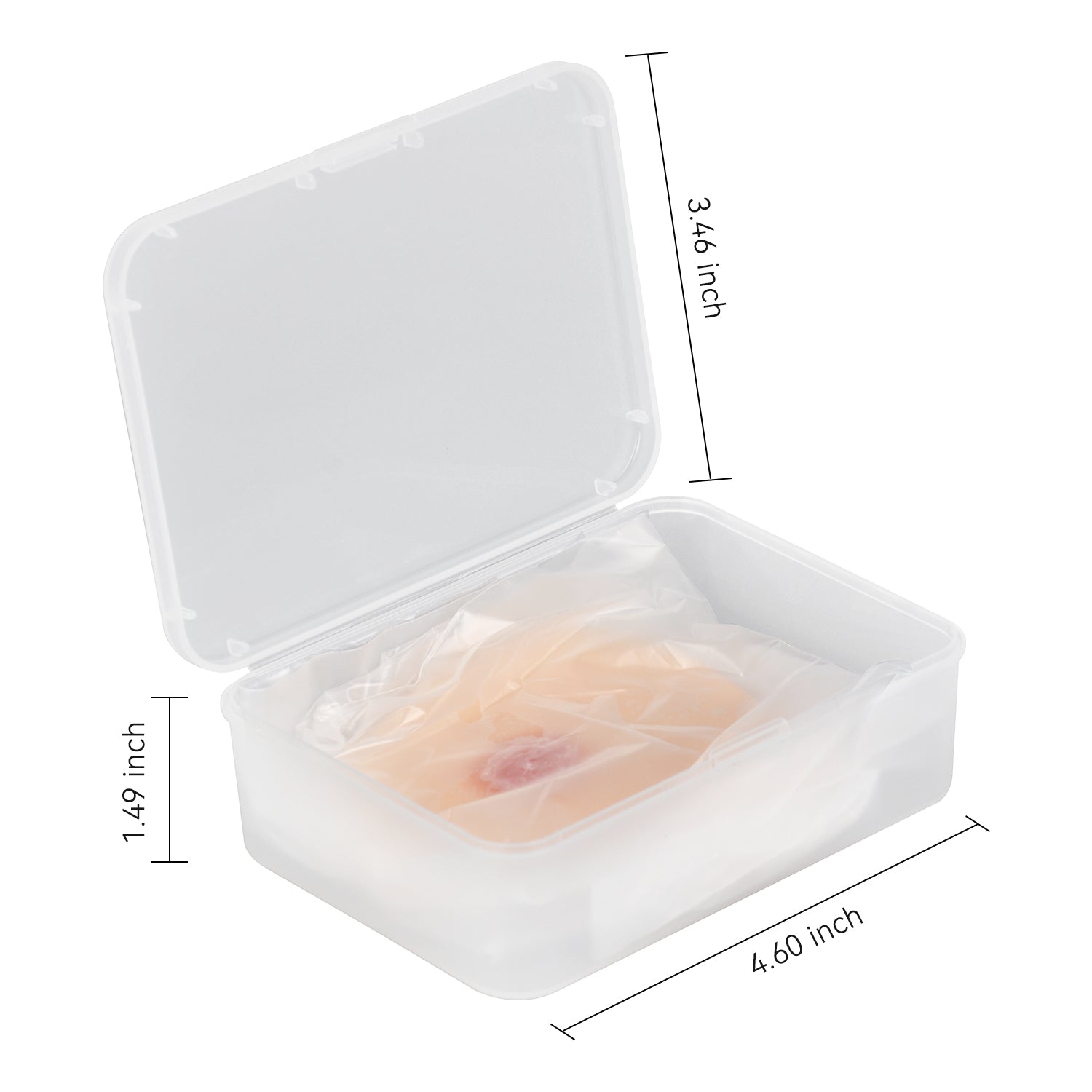 Moist Wound Healing Stages Teaching Model