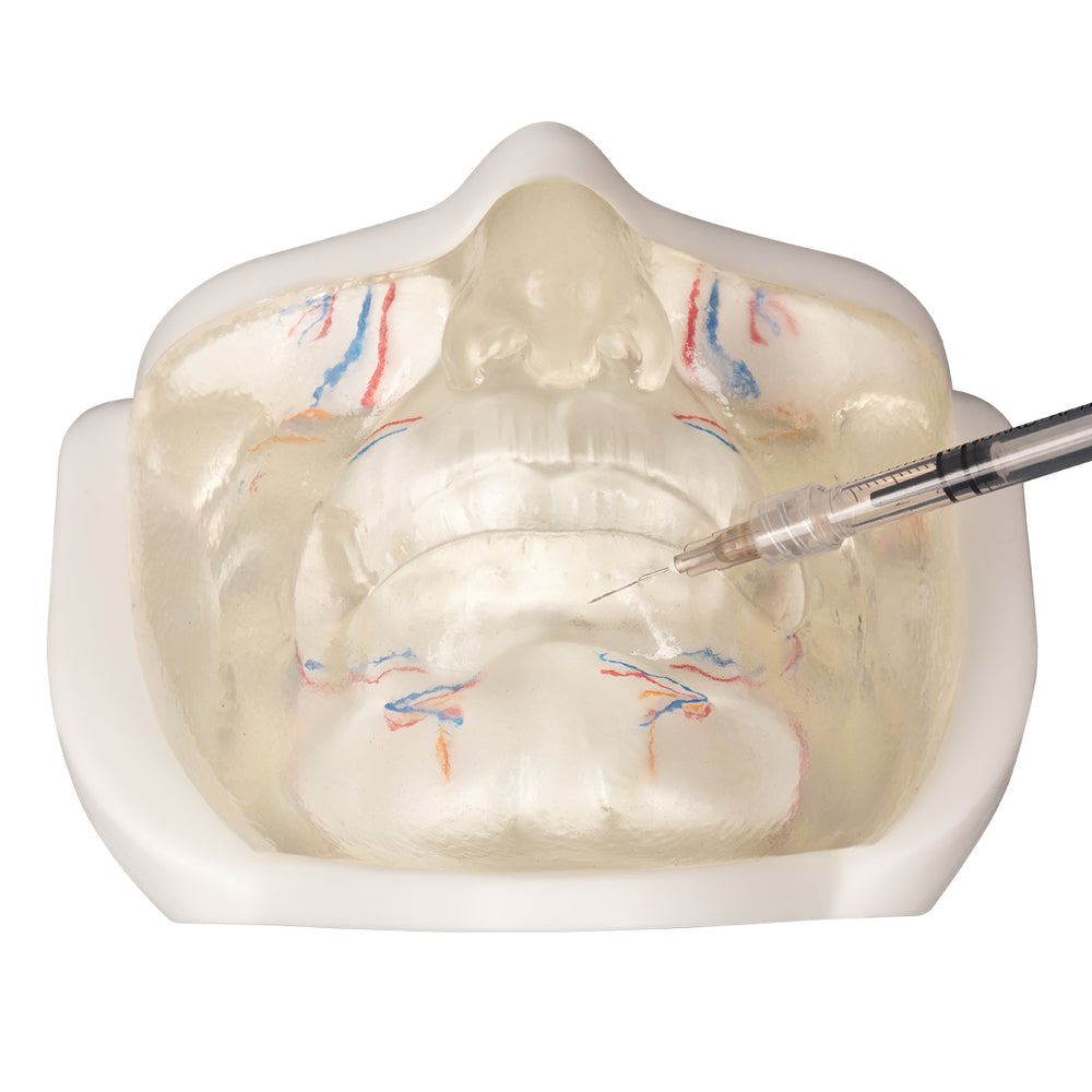 Needle Insertion Demonstration On Filler Training Face