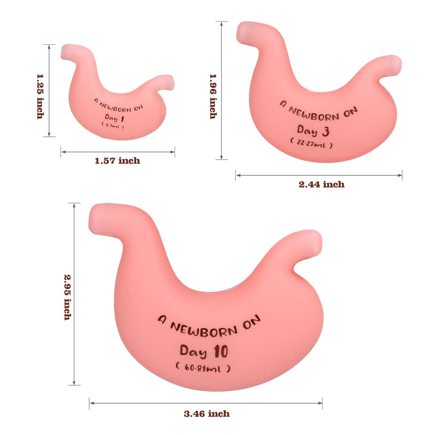 Newborn Stomach Size Belly Beads - Breastfeeding & Lactation Education Tool