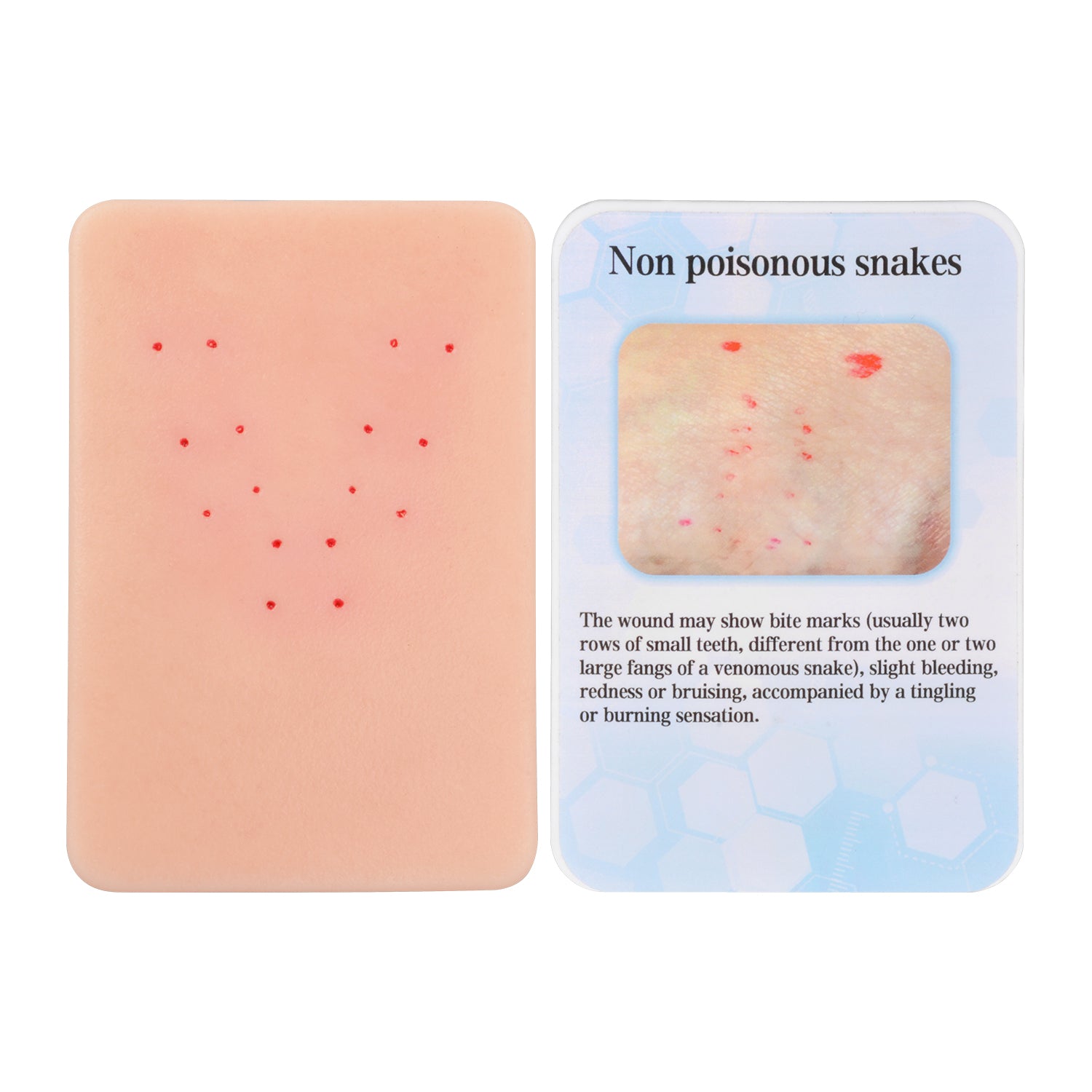 Non-Poisonous Snake Bite Wound Simulation Model