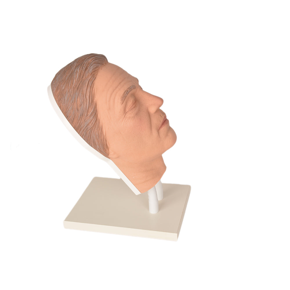 Nurse Practitioner Botox Training Head