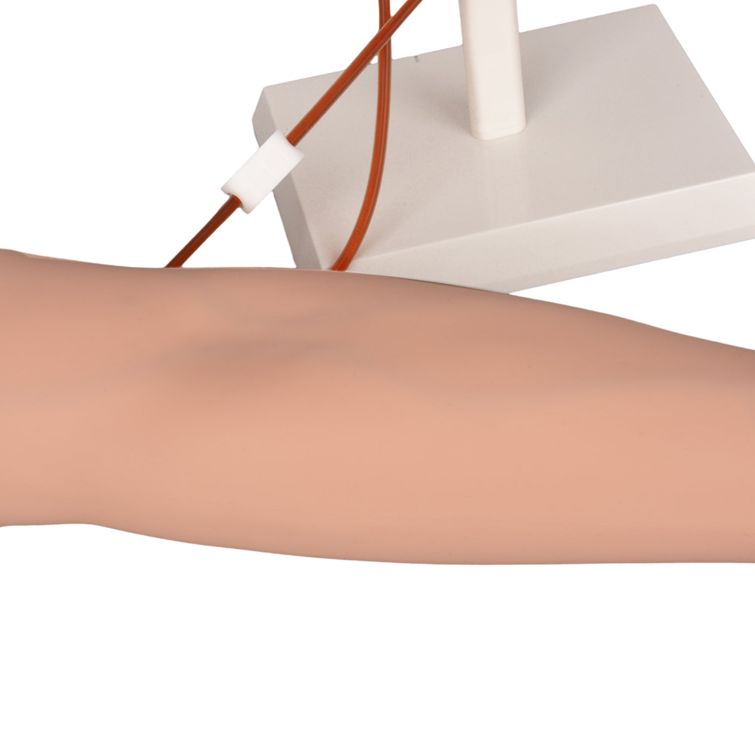 Nursing Student Practicing Venipuncture on Phlebotomy Kit