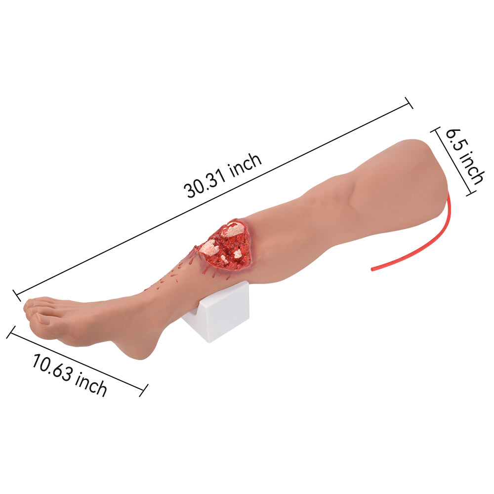Open Fracture Leg Trauma Trainer