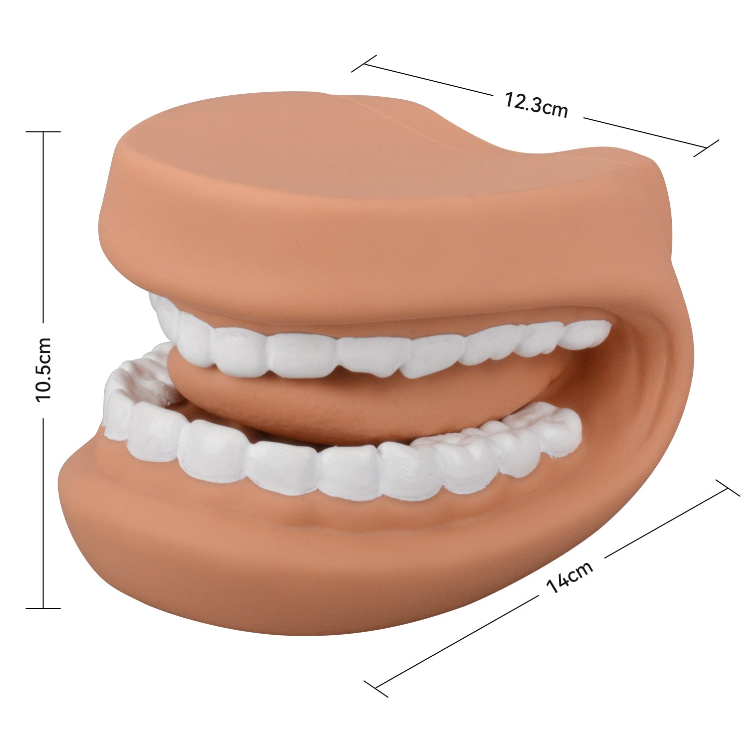 Oral Motor Training Mouth Puppet Teaching Tool