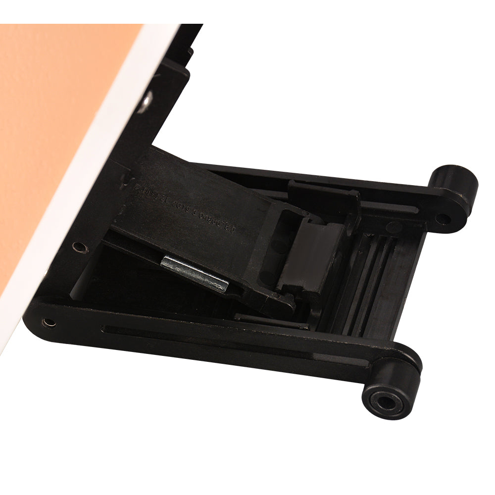 Ostomy Care Model with Adjustable Desktop Stand