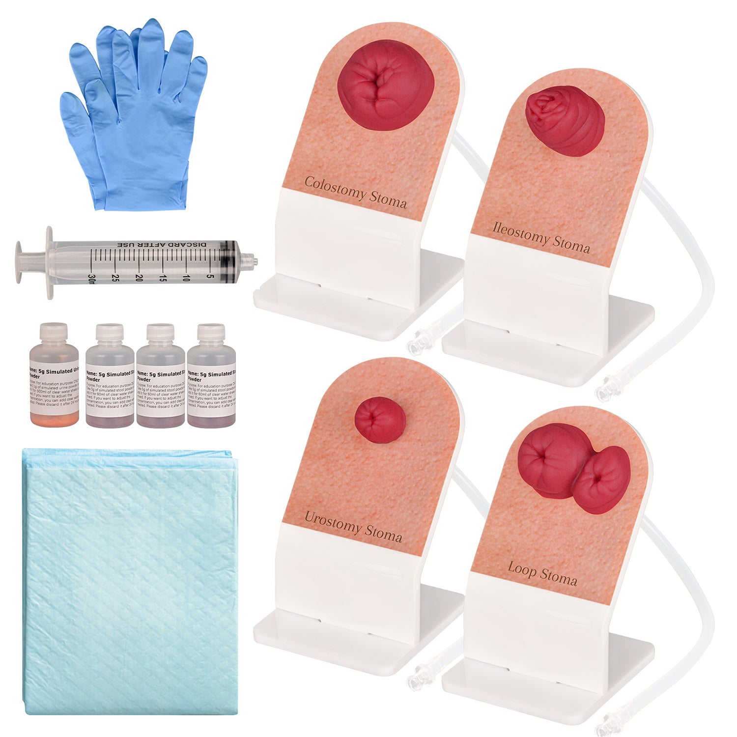 Ostomy Care Training Model with Stand