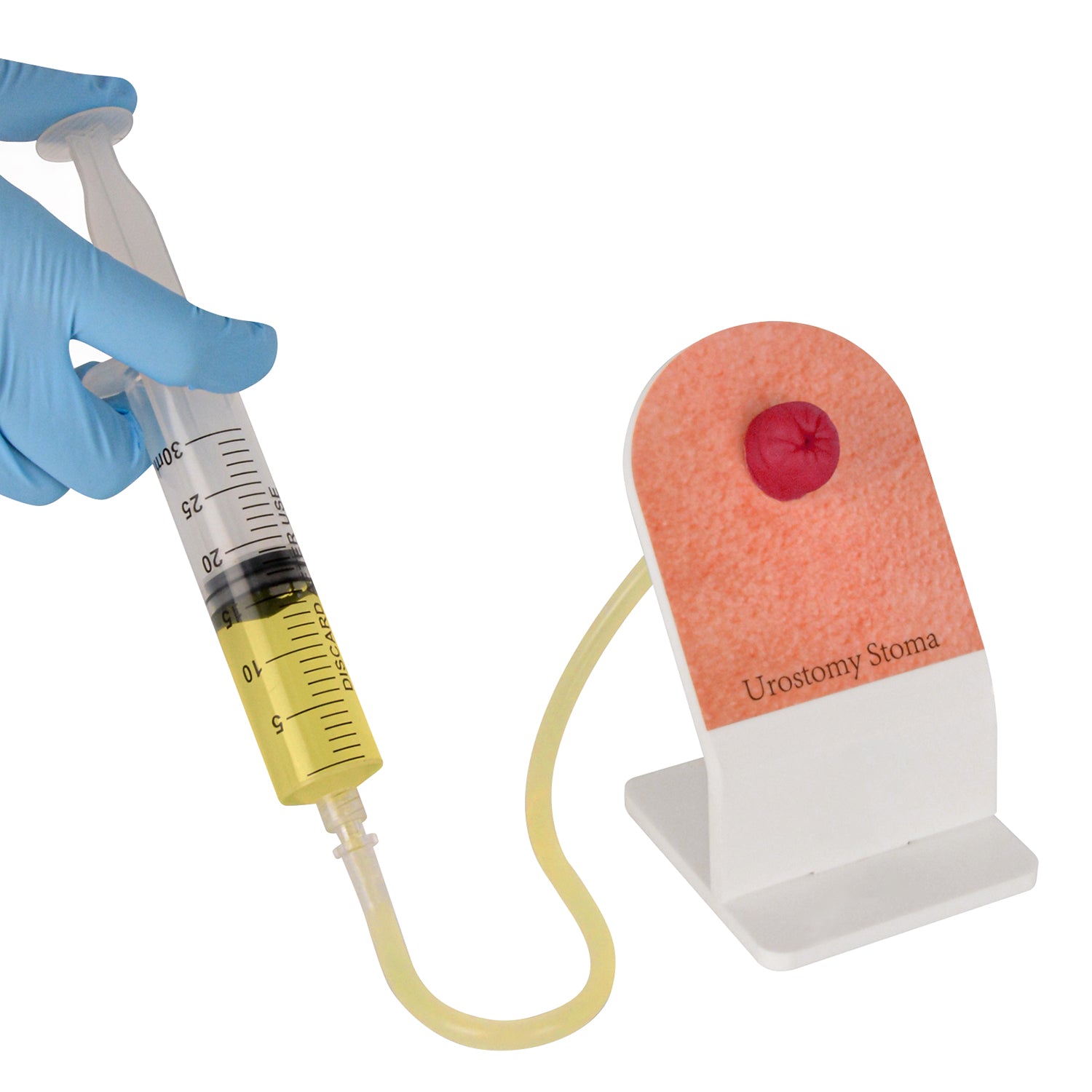 Ostomy Care Training Model with Stand