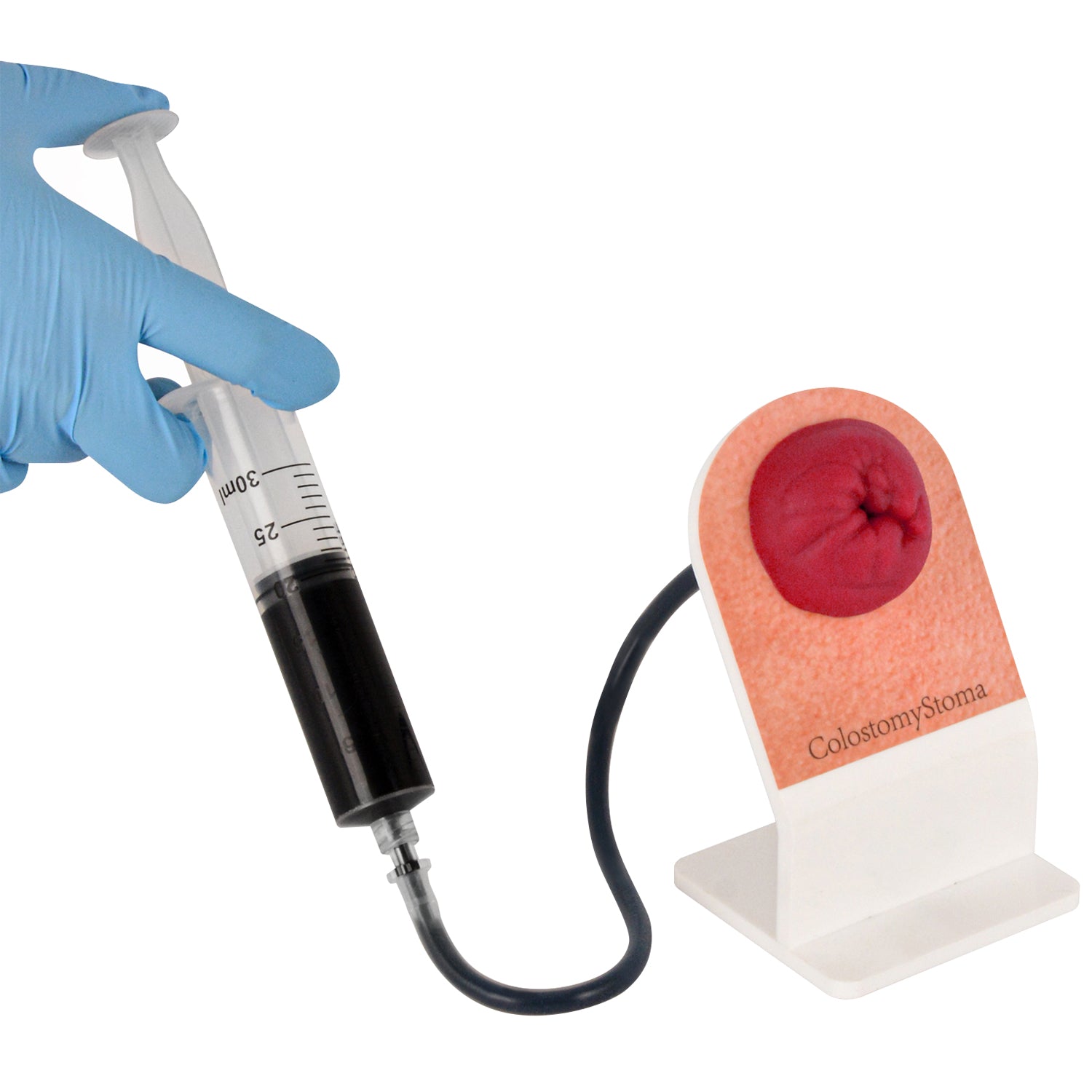 Ostomy Care Training Model with Stand