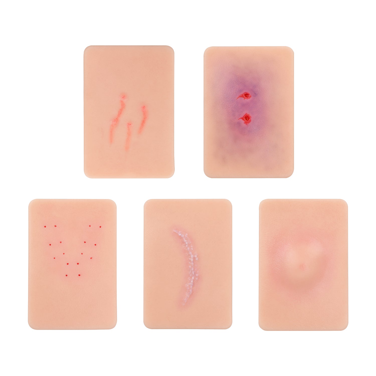 Outdoor Animal Bite Wound Simulation Training Set