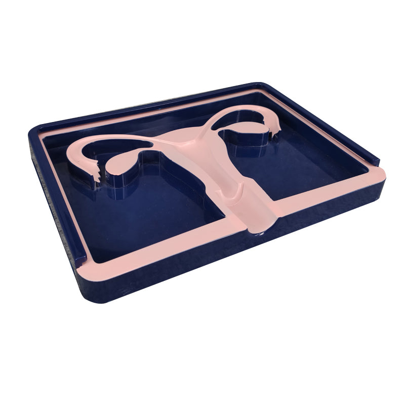 IUD Intrauterine Contraception Training Model